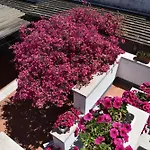 Casabianca Отель типа 