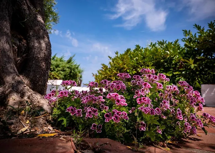 Bed and breakfast Casabianca