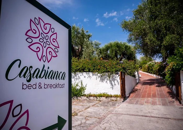 Casabianca Palinuro
