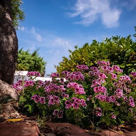 Alojamento de Acomodação e Pequeno-almoço Casabianca