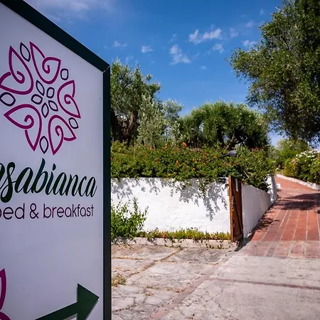 Casabianca Palinuro