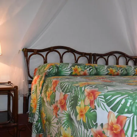 Casabianca Alojamento de Acomodação e Pequeno-almoço Palinuro