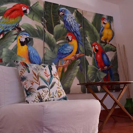 Casabianca Bed & Breakfast Palinuro