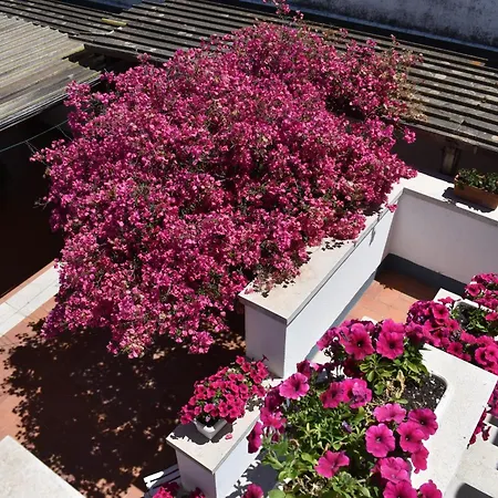 Casabianca فندق مبيت وإفطار *