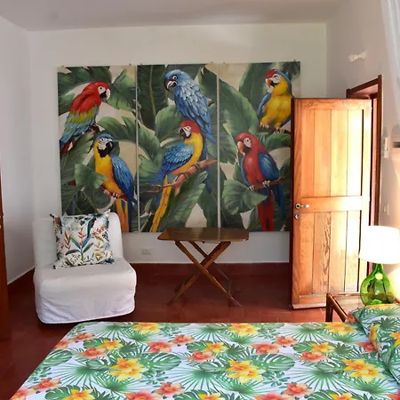 Casabianca Alojamento de Acomodação e Pequeno-almoço Palinuro